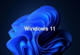 win11ϵyʲô¹