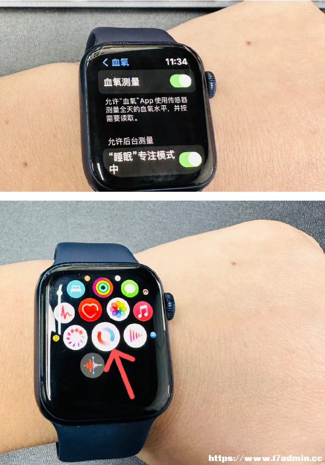 ʹiPhone14 proyѪ