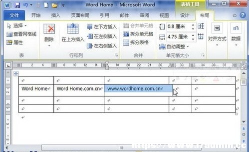 Word2010ęnτ(dng)߅{(dio)С
